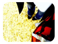 �̻��������� �̻���ã��